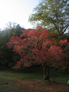 IMG_4674.jpg