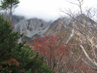 IMG_4706.jpg