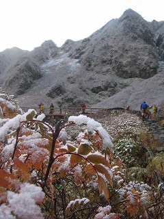 IMG_4766.jpg
