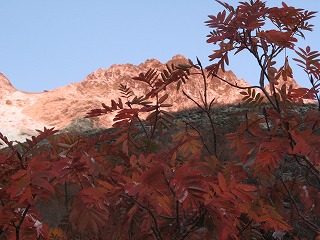 IMG_4814.jpg