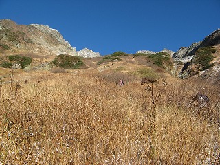 IMG_4852.jpg