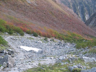 IMG_4992.jpg