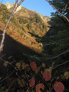 IMG_5027.jpg
