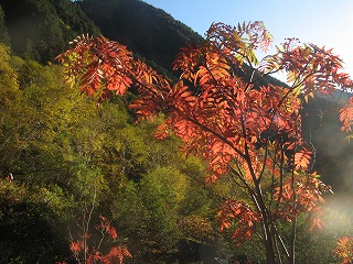 IMG_5035.jpg