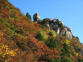 IMG_5139.jpg