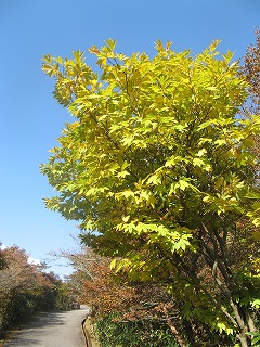 IMG_5144.jpg