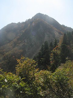 IMG_5182.jpg