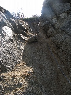 IMG_5193.jpg