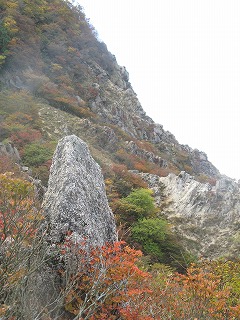 IMG_5215.jpg