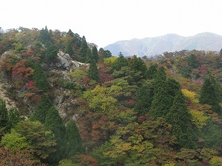 IMG_5216.jpg