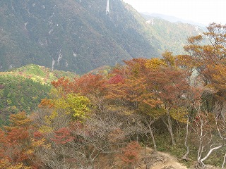 IMG_5217.jpg