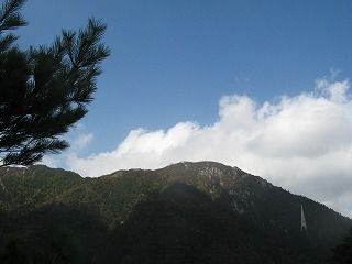 IMG_5226.jpg