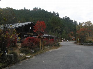 IMG_5270.jpg