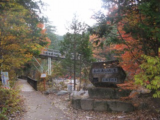 IMG_5273.jpg