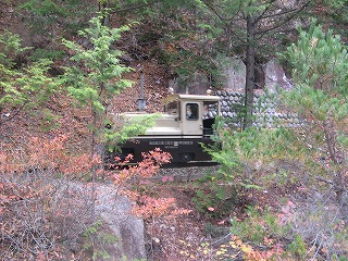 IMG_5278.jpg