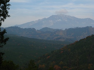 IMG_5315.jpg