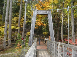 IMG_5333.jpg