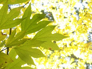 IMG_5354.jpg