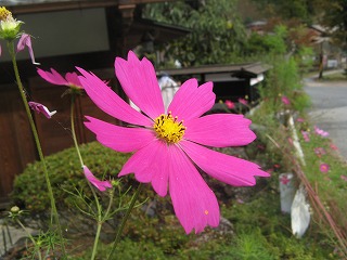 IMG_5368.jpg
