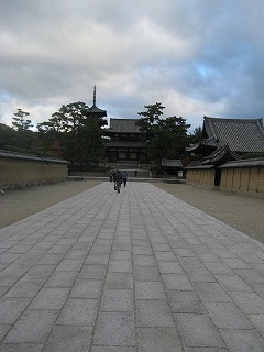 IMG_5391.jpg