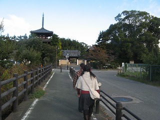 IMG_5410.jpg