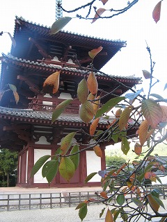 IMG_5414.jpg