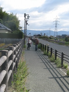 IMG_5426.jpg