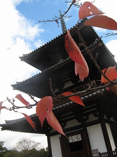 IMG_5447.jpg
