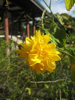 IMG_5474.jpg
