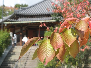 IMG_5518.jpg