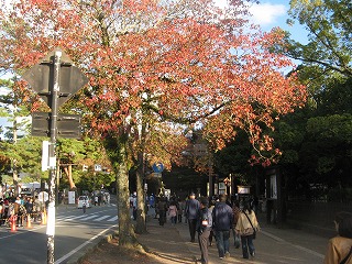 IMG_5541.jpg