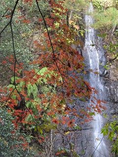 IMG_5592.jpg