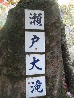 IMG_5605.jpg