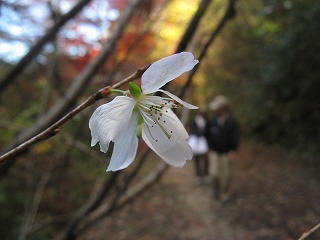 IMG_5609.jpg