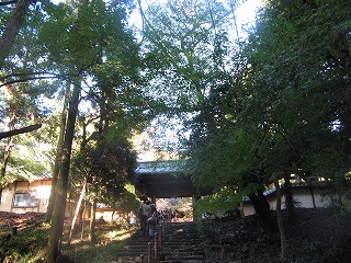IMG_5640.jpg