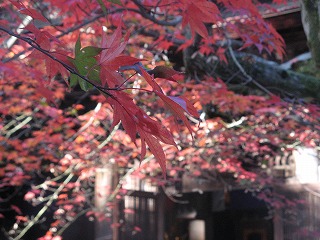 IMG_5646.jpg