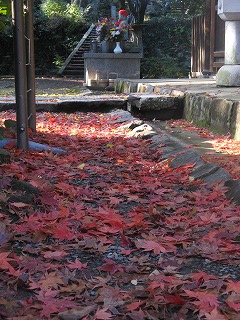 IMG_5650.jpg