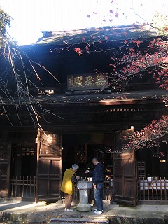 IMG_5655.jpg