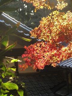IMG_5660.jpg