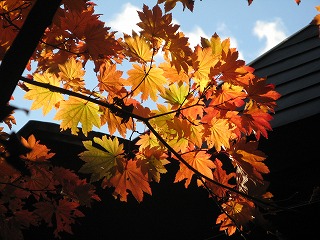 IMG_5669.jpg