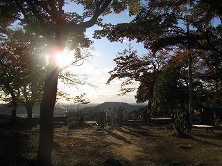 IMG_5672.jpg